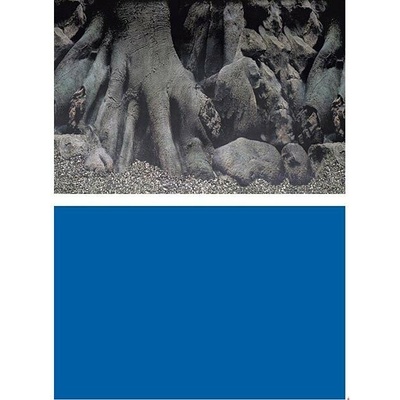 SuperFish Deco Poster D 100 x 49 cm