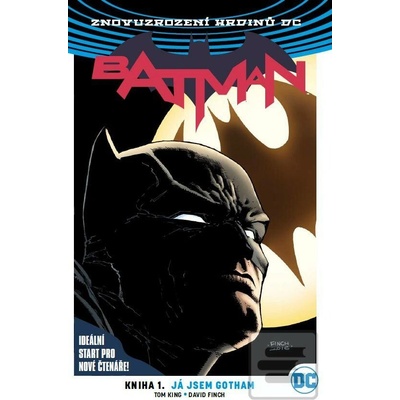 Batman: Kniha 1. Já jsem Gotham brož.