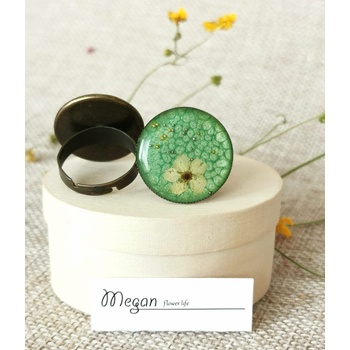 Meganflo Бяла върбинка на зелен фон