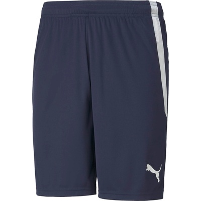 PUMA Team liga shorts m