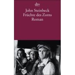 Fruchte des Zorns (ISBN: 9783423104746)