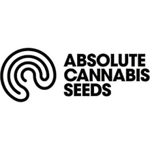 Absolute Cannabis Seeds Amazing AUTO semena neobsahují THC 5 ks