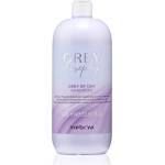 Inebrya Greylosophy Grey By Day Shampoo тониращ шампоан за сива коса 1000ml