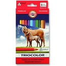 Koh-i-Noor 3144 24 ks