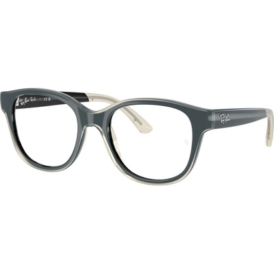 Ray-Ban RY1950 7202