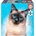 Educa Mini Box Siamese 100 dílků