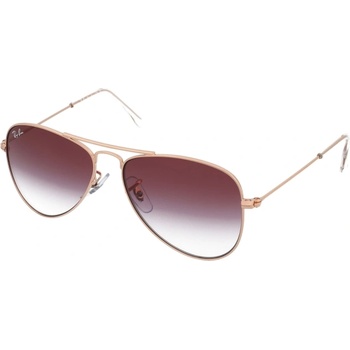 Image 1 of Ray-Ban Aviator Junior RJ9506S 291/8H