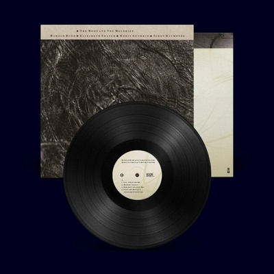 COCTEAU TWINS AND HAROLD BUDD - The Moon And The Melodies LP