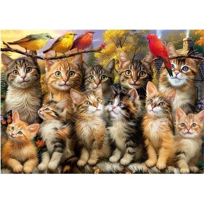 Educa - Puzzle Kittnes and Birds - 500 piese