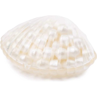Squishy mušľa s perlami