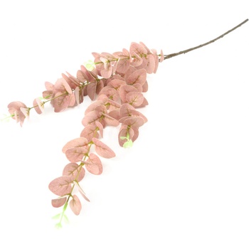 EUKALYPTUS vázový MIX FARIEB 95cm