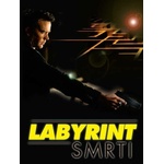 VAPET Production Labyrint smrti - DVD (018902)