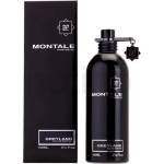 Montale Greyland EDP 100 ml Парфюми