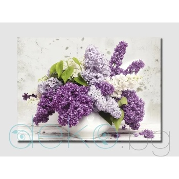 Image 1 of Люляк (30026)