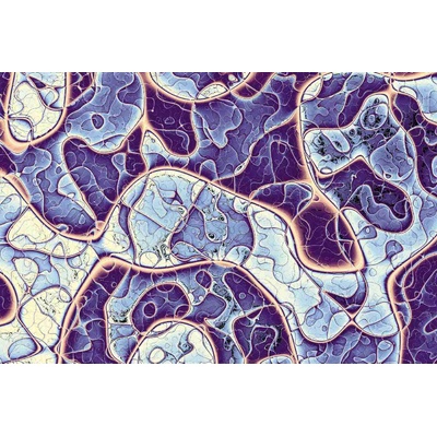 DIMEX ART Флизелинов фототапет синя мраморна текстура 375 x 250 см