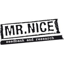 Mr. Nice Black Widow semena neobsahují THC 15 ks