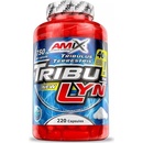 Amix TribuLyn 40 % 220 kapsúl