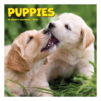 Willow Creek Press Calendars Puppies 2026 7 X 7 Mini Wall Calendar | Willow Creek Press