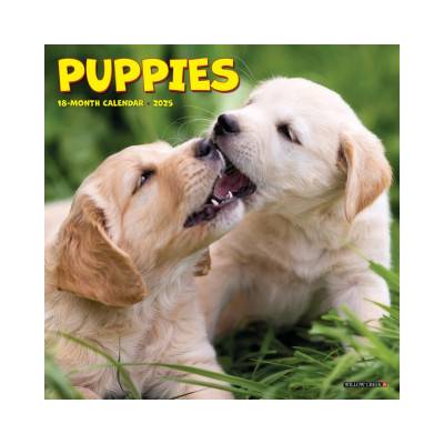 Willow Creek Press Calendars Puppies 2026 7 X 7 Mini Wall Calendar | Willow Creek Press