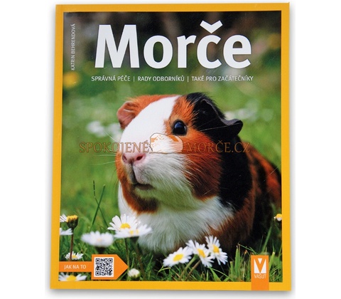 Morče