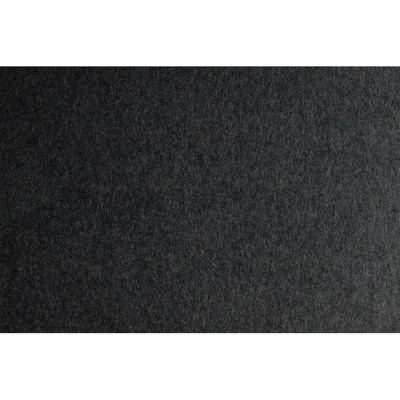 Fabriano Картон Colore, 50 x 70 cm, 200 g/m2, № 242, графит (1530100099)
