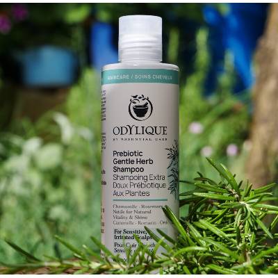 Odylique Bio Prebiotický šampon Gentle Herb 200 ml