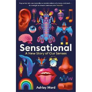 SENSATIONAL | ASHLEY WARD (ISBN: 9781788168878)