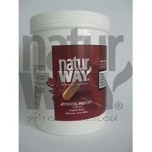 Natur Way Big psyllium 600 kapslí