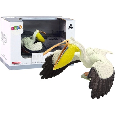 mamido Pelikan Vtáčie zvieratá sveta