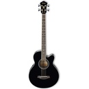 Ibanez AEB 8E