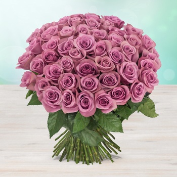 Rozvoz květin: Fialové čerstvé růže - cena za 1ks - Kolín