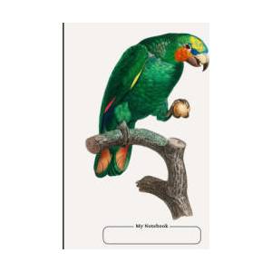 Cornell Notebook, Narrow Ruled, with Dot Grid Note-Taking Area, 100 pages, Compact Size 7.5 x 9.25, with Table of Contents | School Days Publishing (ISBN: 9781959073079)