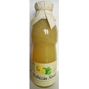 Šťávy Nature Notea Babiččin sirup Citron limetka máta 0,5 l