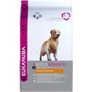 Eukanuba Golden Retriever 2 x 12 kg