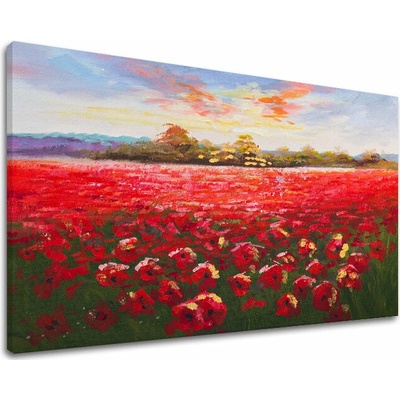 Obraz na plátne LÚKA - 120x80 cm