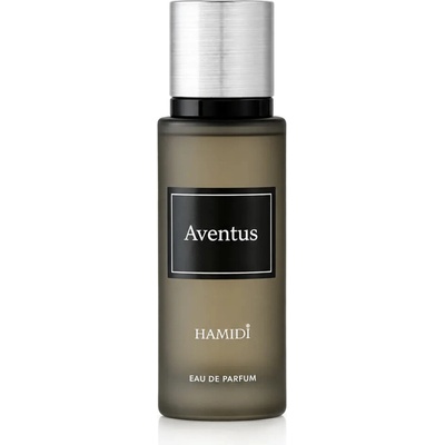 Hamidi Venture parfumovaná voda pánska 30 ml