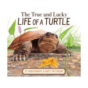 The True and Lucky Life of a Turtle | Matt Patterson (ISBN: 9780063325166)
