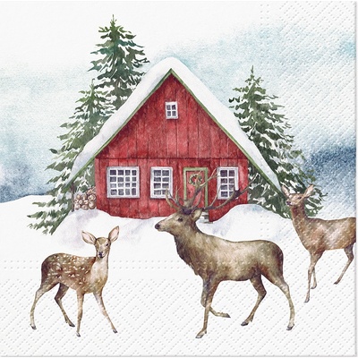 PAW Ubrousky TaT Red house in the snow 33x33cm
