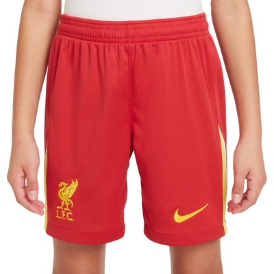 Nike Liverpool FC domácí 2024/2025 červená