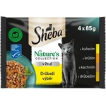 Sheba Natures Collection Консерва с пилешко месо в желе 4 x 85 г