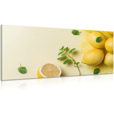 Obraz citrony s mátou - 80x40