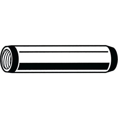 Manutan Válcový kolík kalený s vnitřním závitem DIN 7979 D Ocel 60 ± 2HRc Bez PU 8X20MM