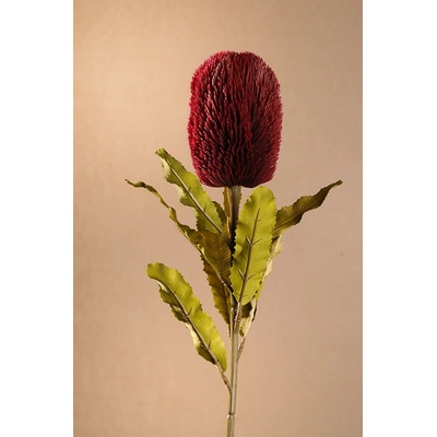 Paramit DRY BANKSIA Aranžovací květina červená 65 cm