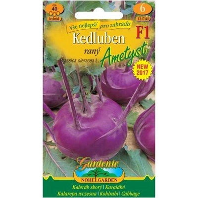Nohel Garden Kaleráb raný AMETYST F1 modrý