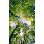 DIMEX ART Флизелинов фототапет дървета в облаците 150 x 250 см