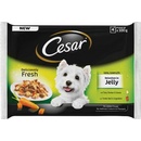 Cesar Adult Selection mix v želé 400 g