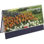 TOPTIMER Настолен календар с картинки TOPTIMER T054, стоящ, бял, плосък, Kertész, син, 2027 (T541T-004)