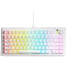 Glorious PC Gaming Race GMMK 3 75 White Fox Linear Switc (GL-KEY-GATA-2729)