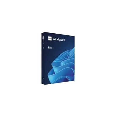 Microsoft Windows Pro 11 64-bit USB, SK