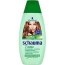Schauma 7 Bylín šampón na normálne a mastné vlasy 250 ml
